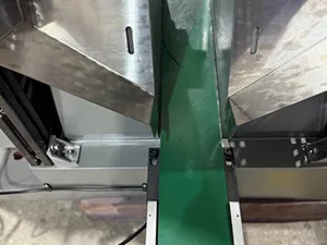 Specimen feeding conveyor